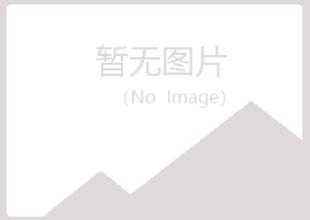 大新县以海造纸有限公司